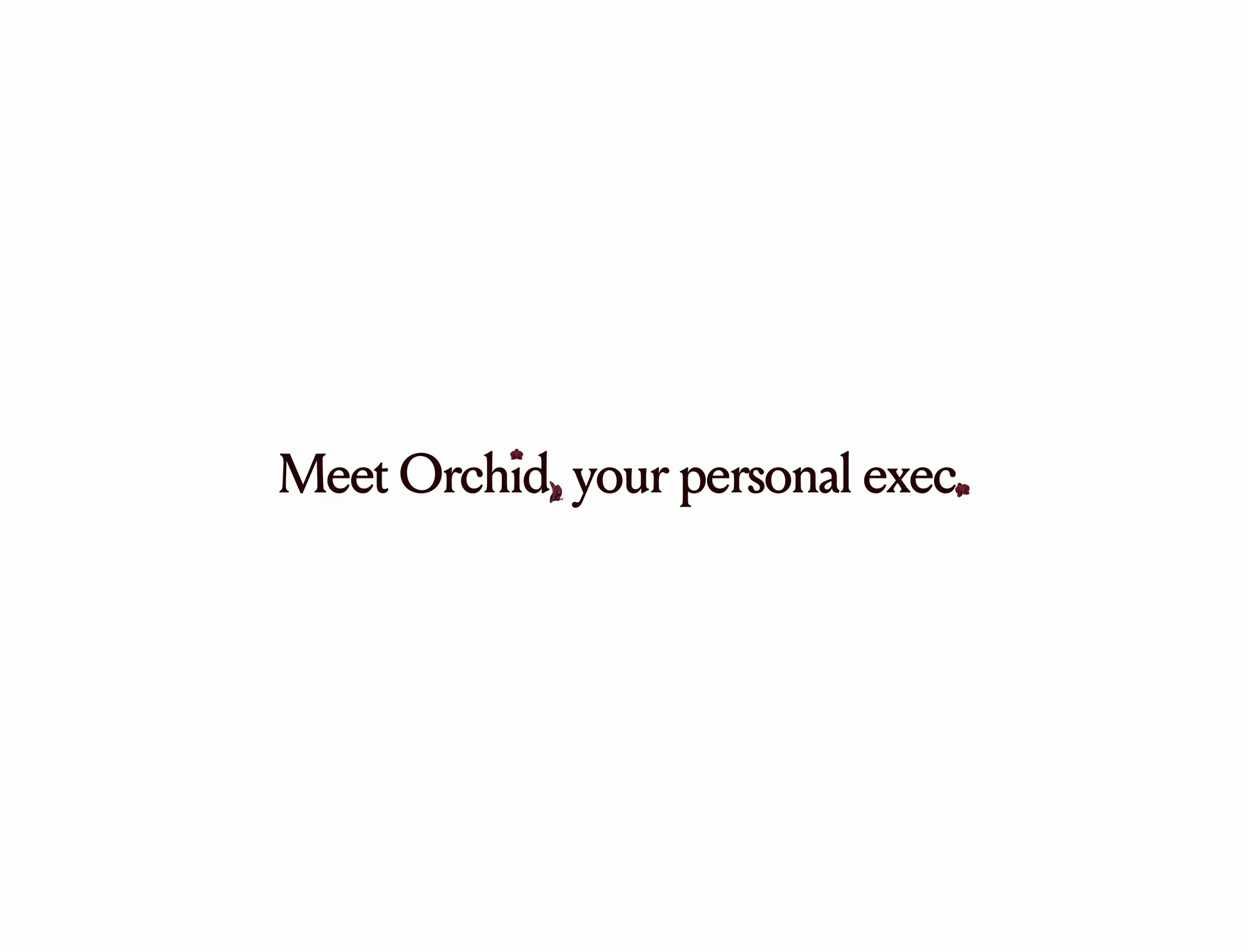 Orchid, picture 11