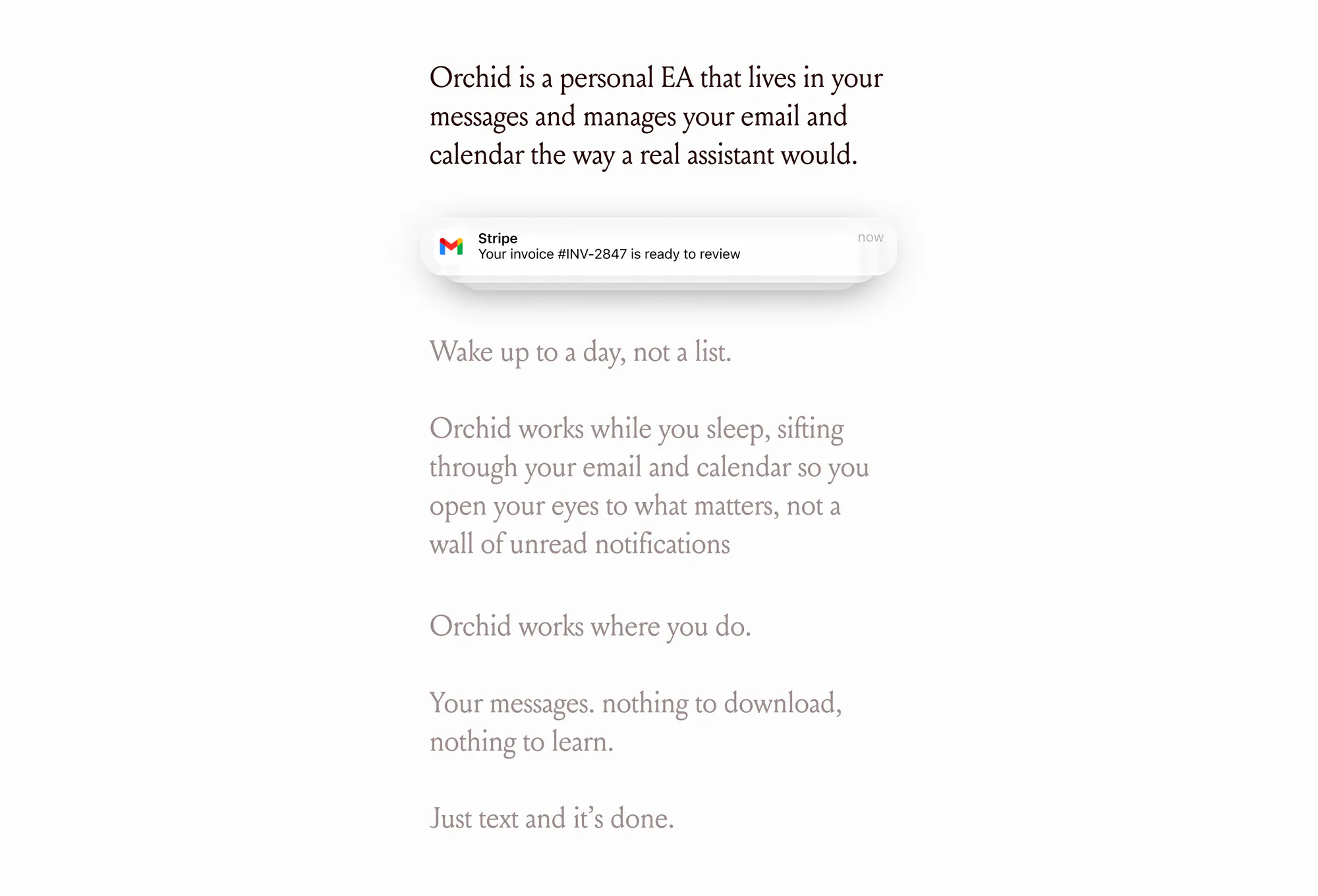 Orchid, picture 3